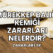 Mürekkep Balığı Kemiği Zararları Nelerdir?