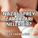 Nazal Sprey Zararları Nelerdir