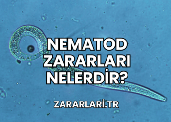 Nematod Zararları Nelerdir?