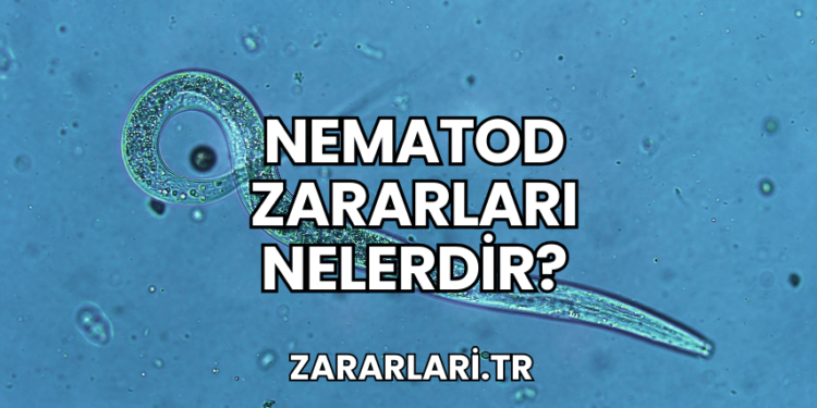 Nematod Zararları Nelerdir?
