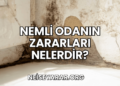 Nemli Odanın Zararları Nelerdir