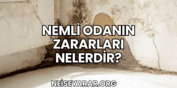 Nemli Odanın Zararları Nelerdir