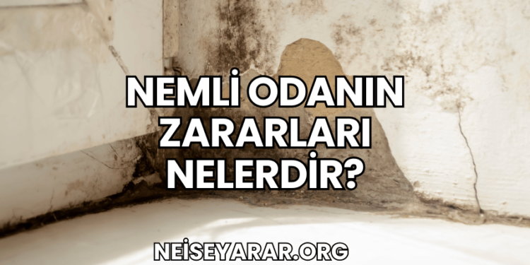 Nemli Odanın Zararları Nelerdir