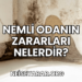 Nemli Odanın Zararları Nelerdir