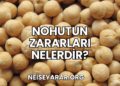 Nohutun Zararları Nelerdir