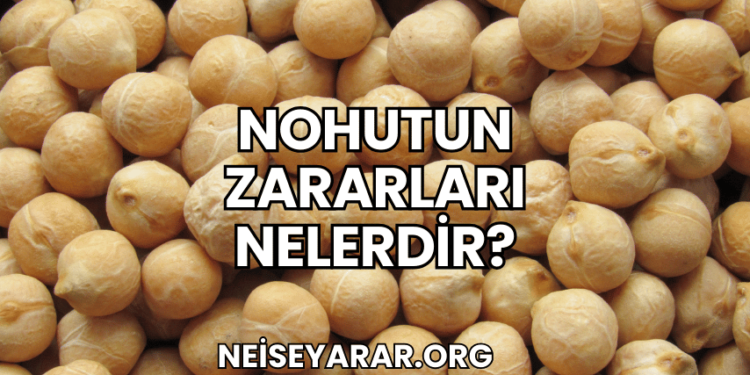 Nohutun Zararları Nelerdir