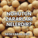Nohutun Zararları Nelerdir