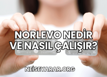 Norlevo Nedir ve Nasıl Çalışır
