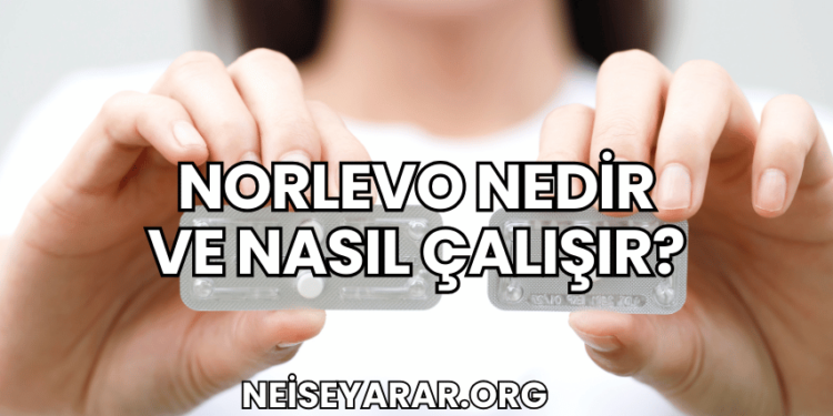 Norlevo Nedir ve Nasıl Çalışır