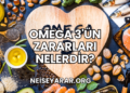 Omega 3'ün Zararları Nelerdir