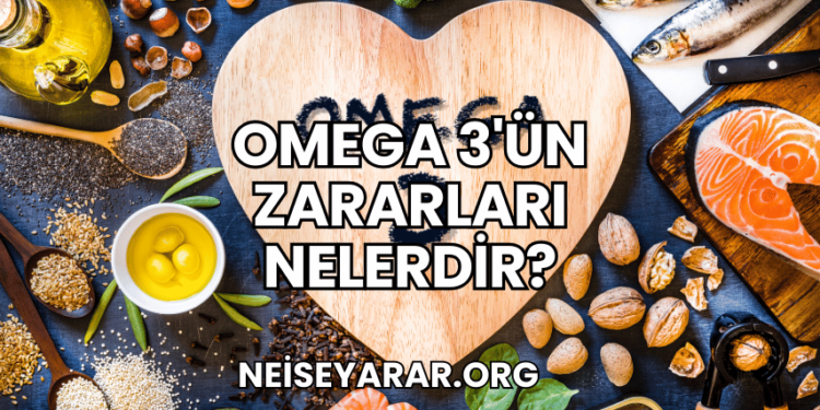 Omega 3'ün Zararları Nelerdir