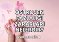 Östrojen Fazlalığı Zararları Nelerdir?