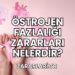 Östrojen Fazlalığı Zararları Nelerdir?