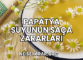 Papatya Suyunun Saça Zararları