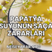 Papatya Suyunun Saça Zararları