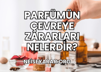 Parfümün Çevreye Zararları Nelerdir?