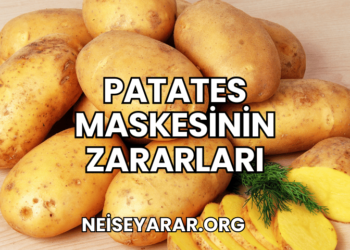 Patates Maskesinin Zararları