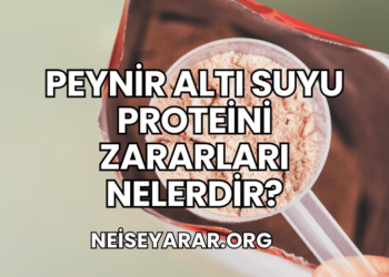 Peynir Altı Suyu Proteini Zararları Nelerdir?