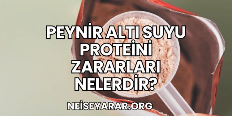 Peynir Altı Suyu Proteini Zararları Nelerdir?
