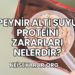 Peynir Altı Suyu Proteini Zararları Nelerdir?