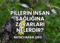 Pillerin İnsan Sağlığına Zararları Nelerdir?
