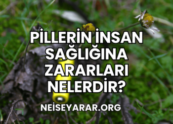 Pillerin İnsan Sağlığına Zararları Nelerdir?