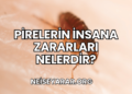 Pirelerin İnsana Zararları Nelerdir?