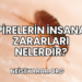 Pirelerin İnsana Zararları Nelerdir?