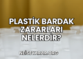 Plastik Bardak Zararları Nelerdir