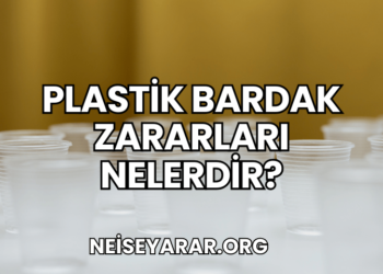 Plastik Bardak Zararları Nelerdir