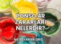 Ponso 4R Zararları Nelerdir?