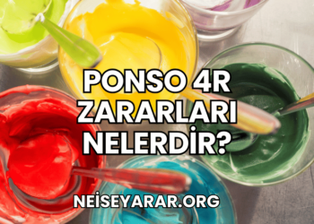 Ponso 4R Zararları Nelerdir?