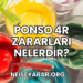 Ponso 4R Zararları Nelerdir?