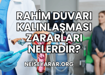 Rahim Duvarı Kalınlaşması Zararları Nelerdir?