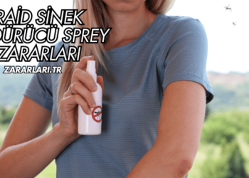 Raid Sinek Öldürücü Sprey Zararları