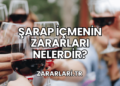 Şarap İçmenin Zararları Nelerdir?