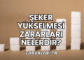 Şeker Yükselmesi Zararları Nelerdir?