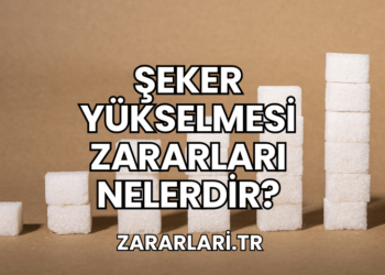 Şeker Yükselmesi Zararları Nelerdir?
