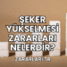 Şeker Yükselmesi Zararları Nelerdir?