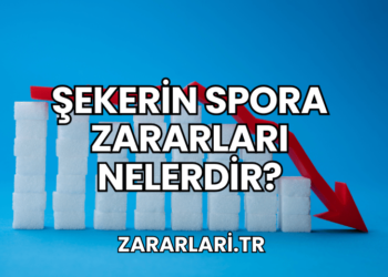 Şekerin Spora Zararları Nelerdir?