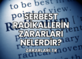 Serbest Radikallerin Zararları Nelerdir?
