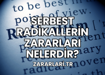 Serbest Radikallerin Zararları Nelerdir?