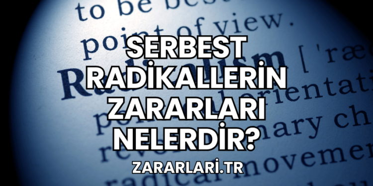 Serbest Radikallerin Zararları Nelerdir?