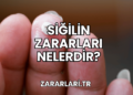 Siğilin Zararları Nelerdir?