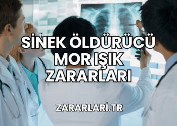 Sinek Öldürücü Mor Işık Zararları