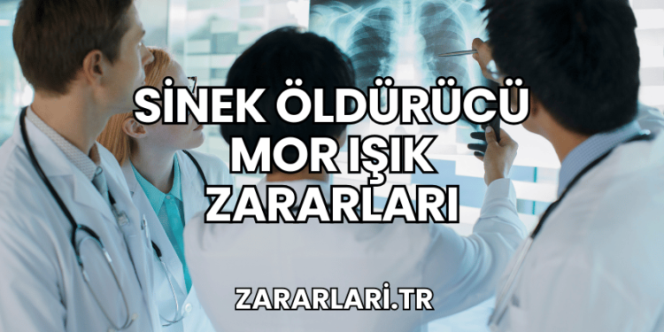 Sinek Öldürücü Mor Işık Zararları