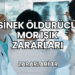 Sinek Öldürücü Mor Işık Zararları