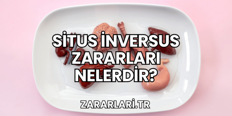 Situs İnversus Zararları Nelerdir?