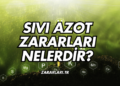 Sıvı Azot Zararları Nelerdir?