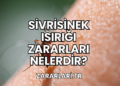 Sivrisinek Isırığı Zararları Nelerdir?